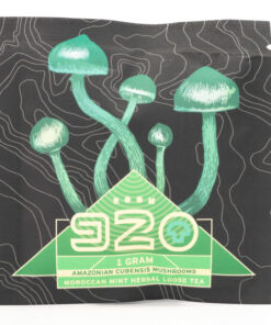 Room920-Amazonian-Cubensis-Mushrooms-Moroccan-Mint-Herbal-Tea-600x600